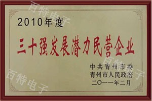 2010年度三十强发展潜力民营企业